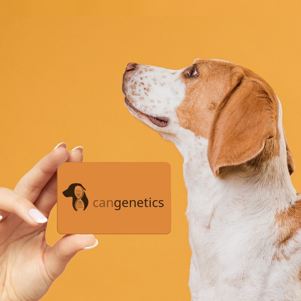 Carnet identificativo canino — identificación ADN perro Cangenetics