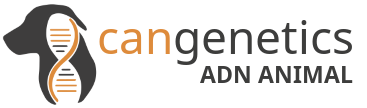 Cangenetics — logo horizontal